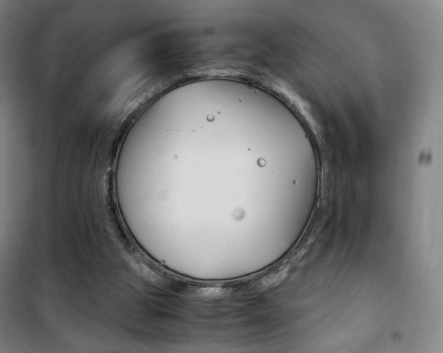 X0000101710153200807101416