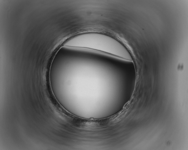 X0000101710154200807101416