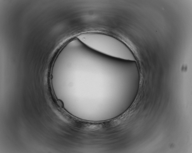 X0000101710155200807101416