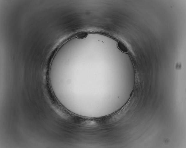 X0000101710159200807101416