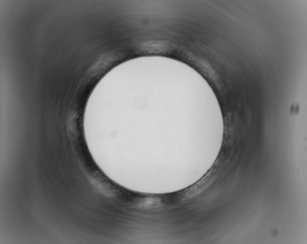 X0000101710162200807101416