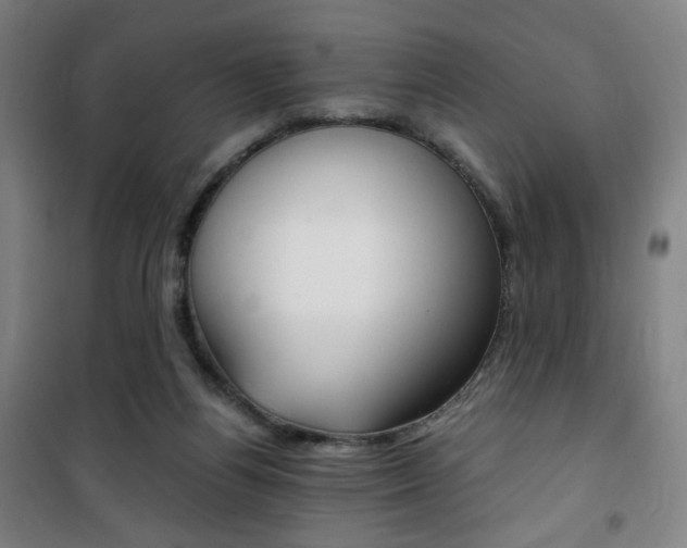 X0000101710164200807101416