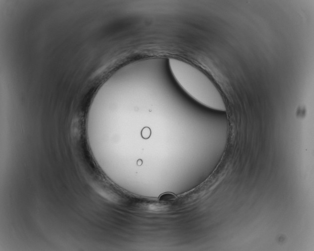 X0000101710165200807101416