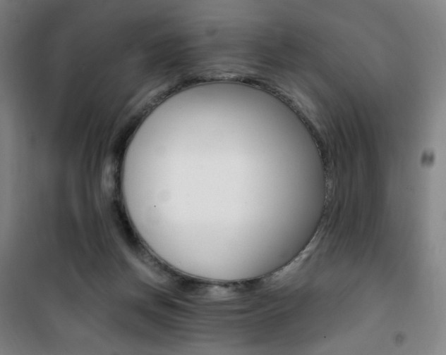 X0000101710166200807101416