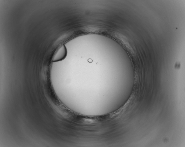 X0000101710167200807101416