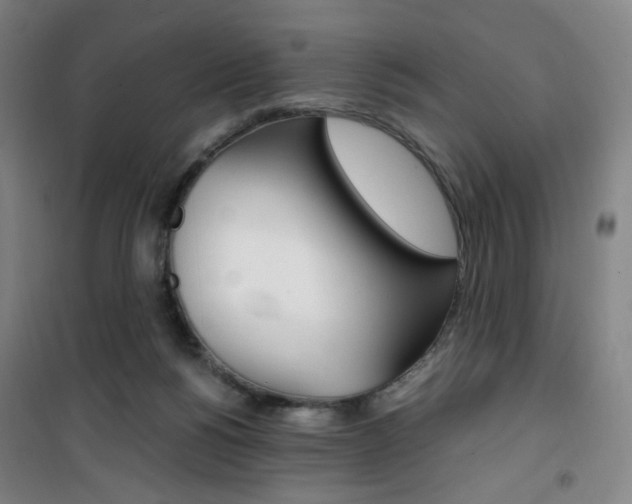 X0000101710168200807101416
