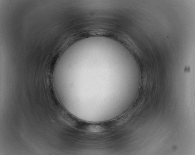 X0000101710169200807101416