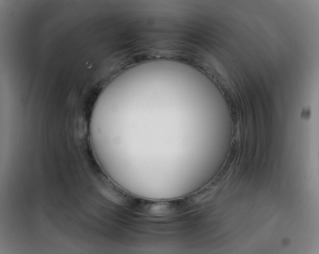 X0000101710173200807101416