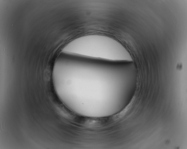 X0000101710174200807101416