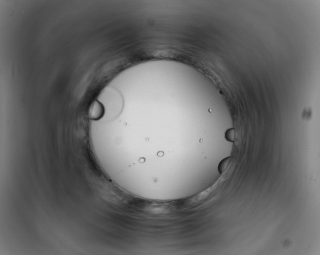 X0000101710175200807101416