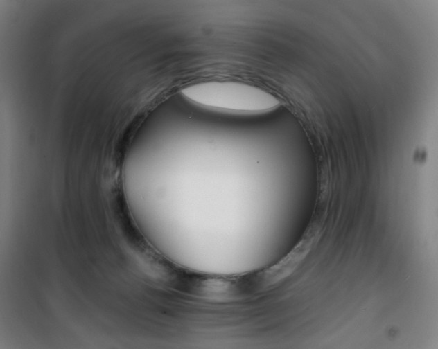 X0000101710176200807101416