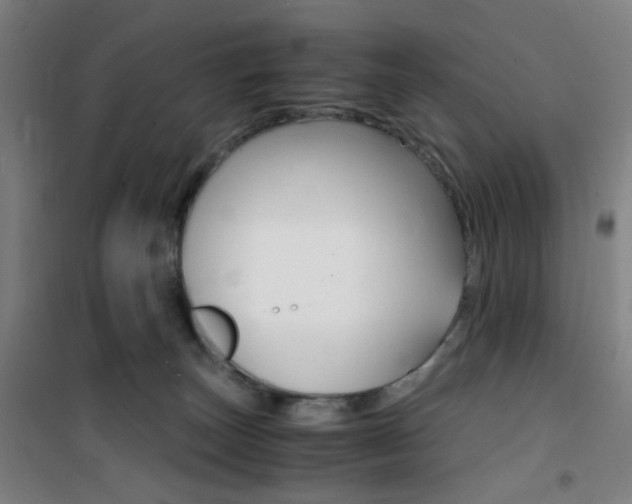 X0000101710179200807101417