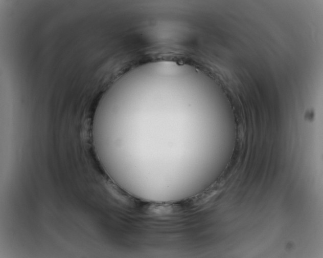 X0000101710181200807101417