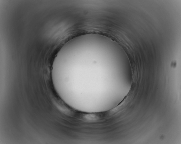 X0000101710183200807101417