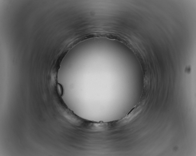 X0000101710188200807101417
