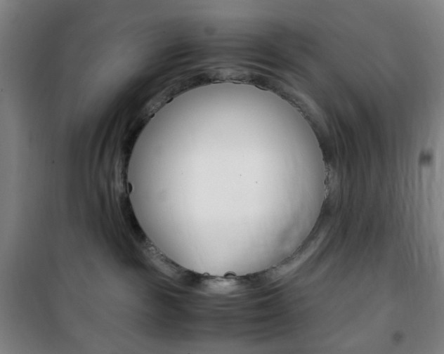 X0000101710189200807101417