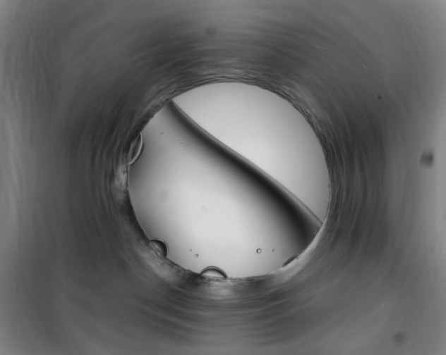 X0000101710190200807101417