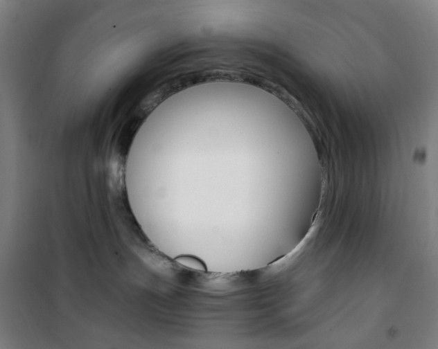 X0000101710191200807101417
