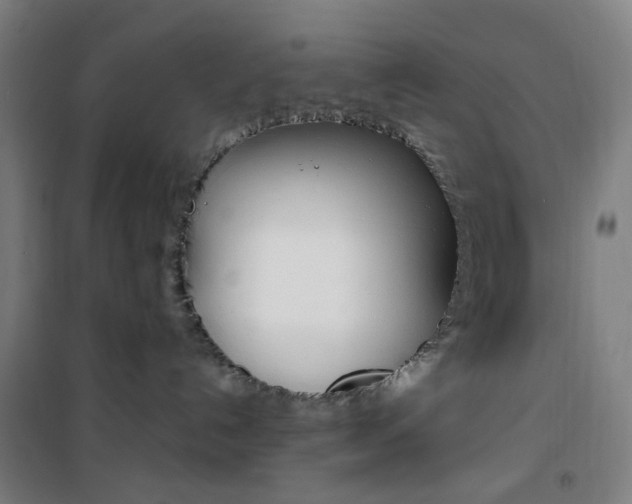 X0000101710192200807101417