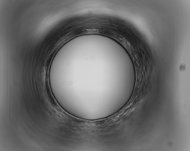 X0000101710194200807101416