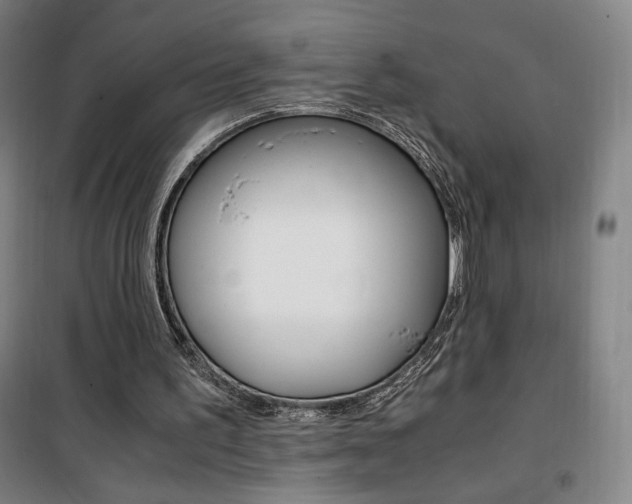 X0000101710195200807101416