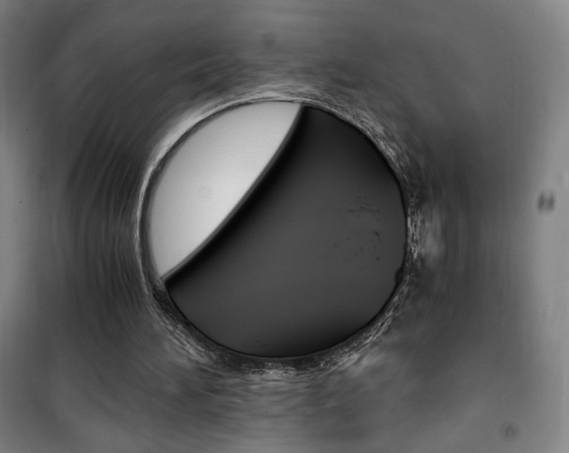 X0000101710196200807101416