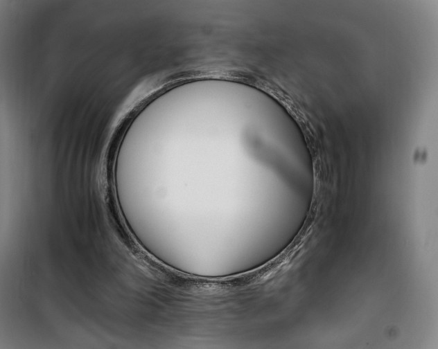 X0000101710198200807101416