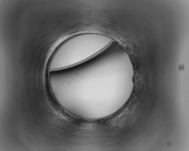 X0000101710200200807101416
