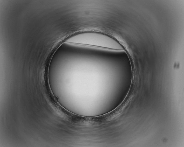 X0000101710201200807101416
