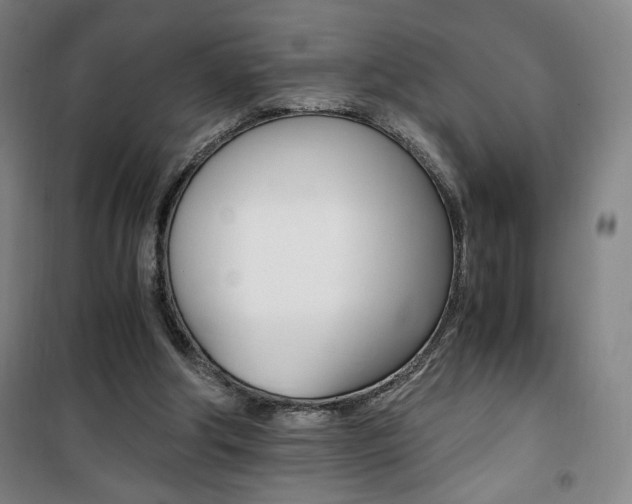 X0000101710202200807101416