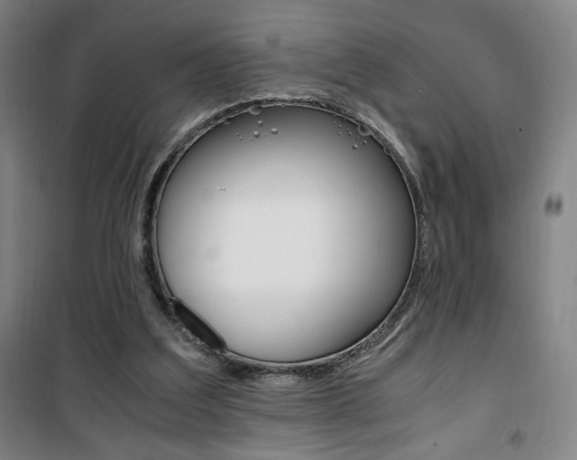 X0000101710203200807101416