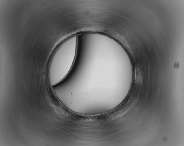 X0000101710204200807101416