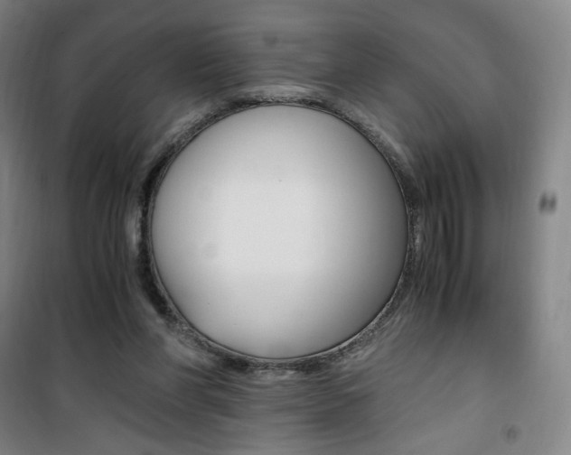 X0000101710206200807101416