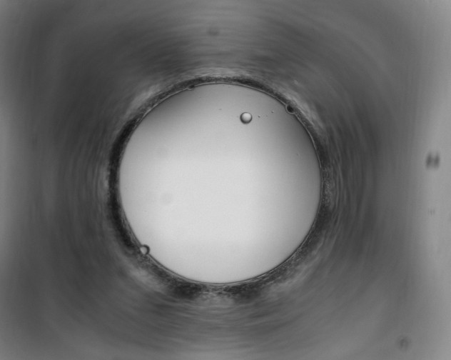 X0000101710207200807101416