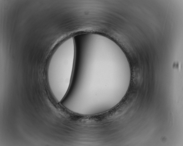 X0000101710208200807101416