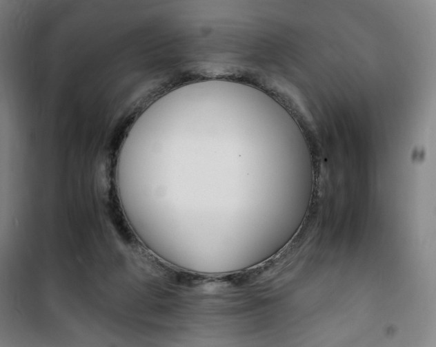 X0000101710210200807101416