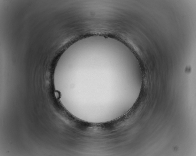 X0000101710211200807101416