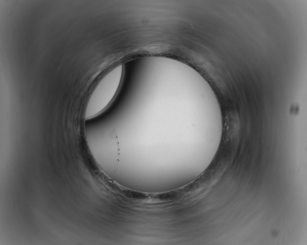 X0000101710212200807101416