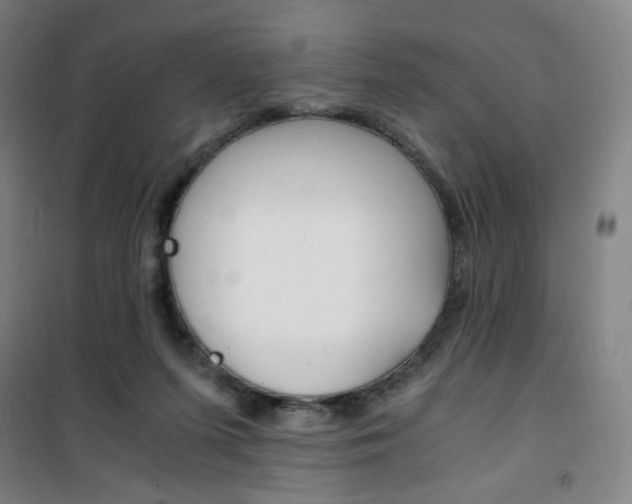 X0000101710215200807101416