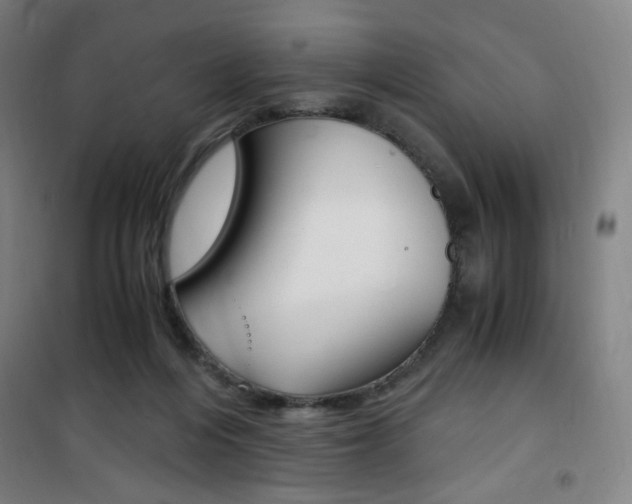 X0000101710216200807101416