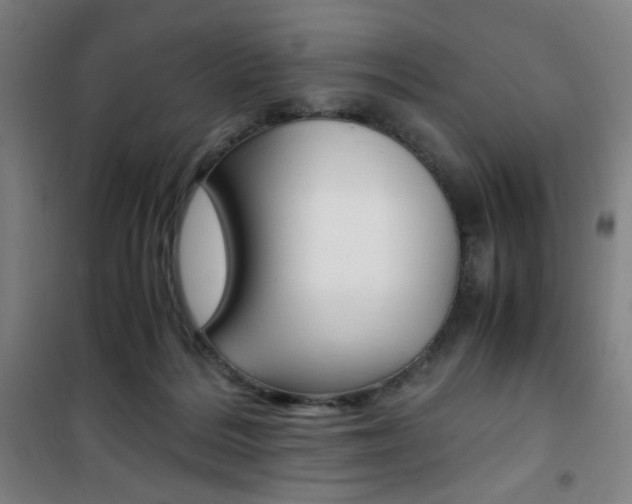 X0000101710220200807101416