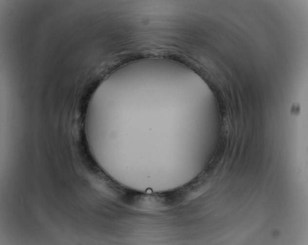 X0000101710223200807101416