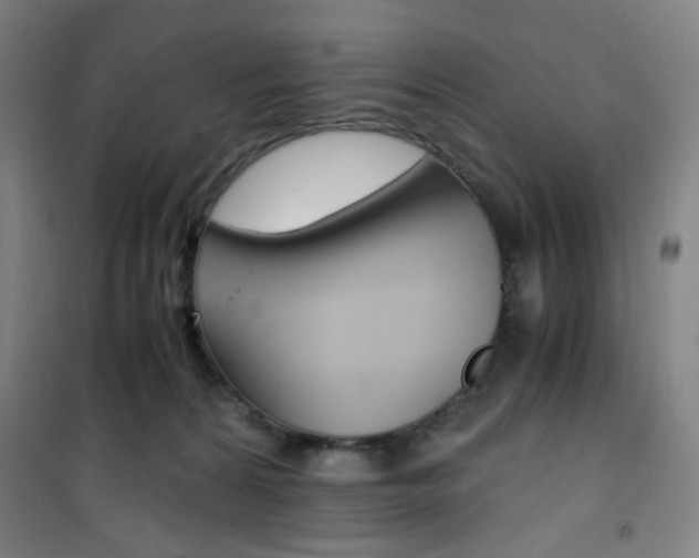 X0000101710224200807101416