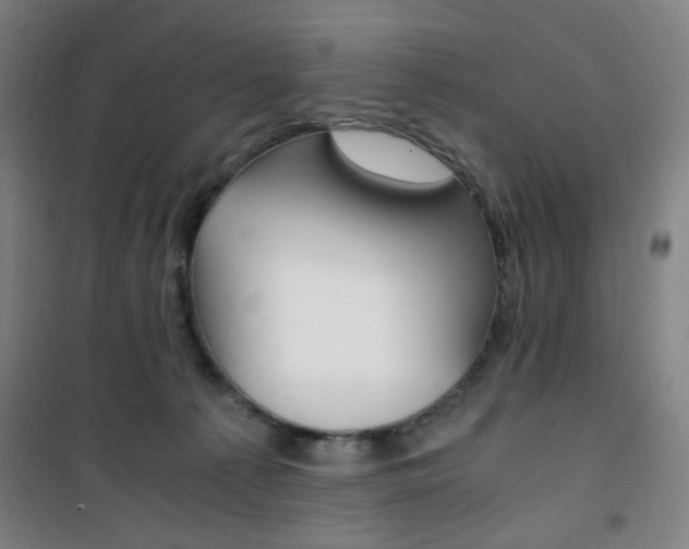 X0000101710225200807101415