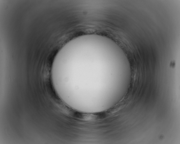 X0000101710226200807101415