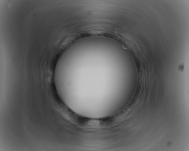 X0000101710227200807101415