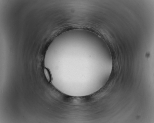 X0000101710229200807101415