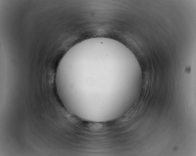 X0000101710230200807101415