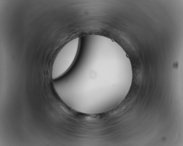 X0000101710232200807101415