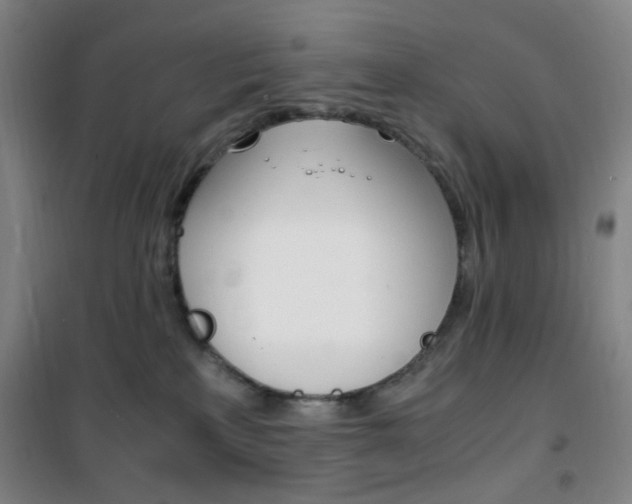 X0000101710233200807101415